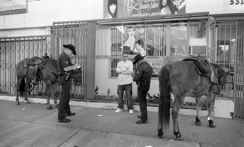 5370997193_1904f3d27b_b