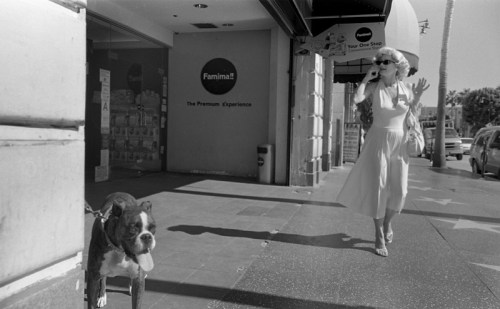 5385591582_604e4876d9_b