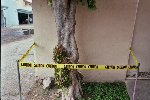 ShawnNee_C189_15_00011