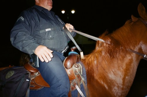 19_ShawnNee_C78480001