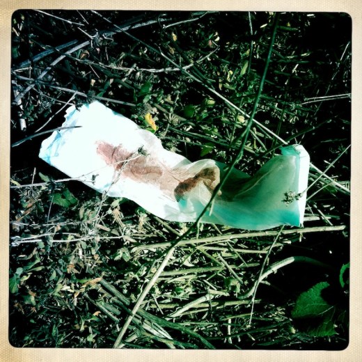 07_HIP_353195053.274427