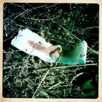 07_HIP_353195053.274427