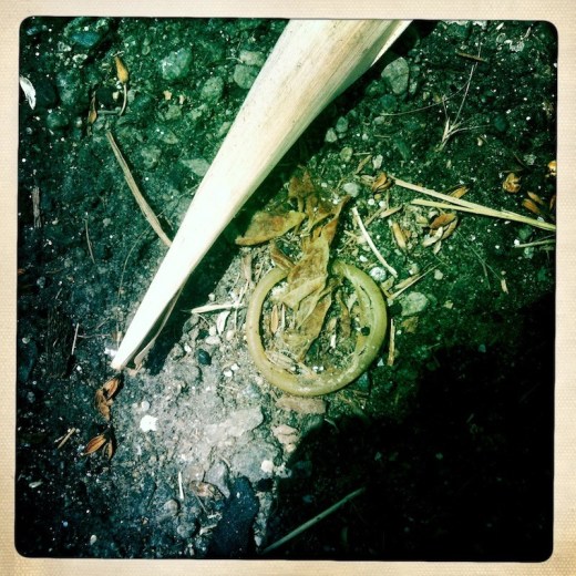 15_HIP_357933813.839041