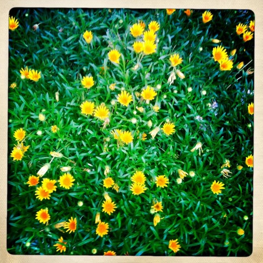 16_HIP_357934032.940753