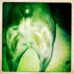 19_HIP_357968409.102638