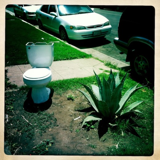 23_HIP_358028572.272654