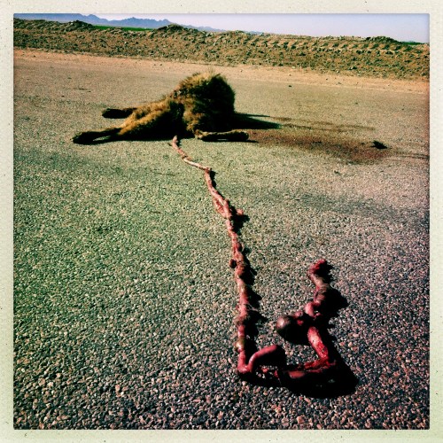 ShawnNee_20130513_HIP_390151777.721908